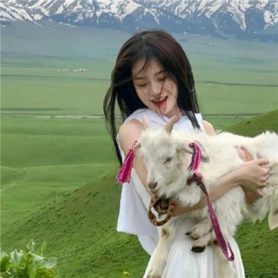 双面骗子虚假警察第二季免费在线观看封面